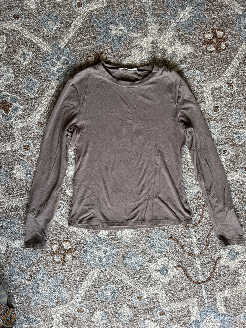Ellison Long Sleeve Crewneck Top in Taupe